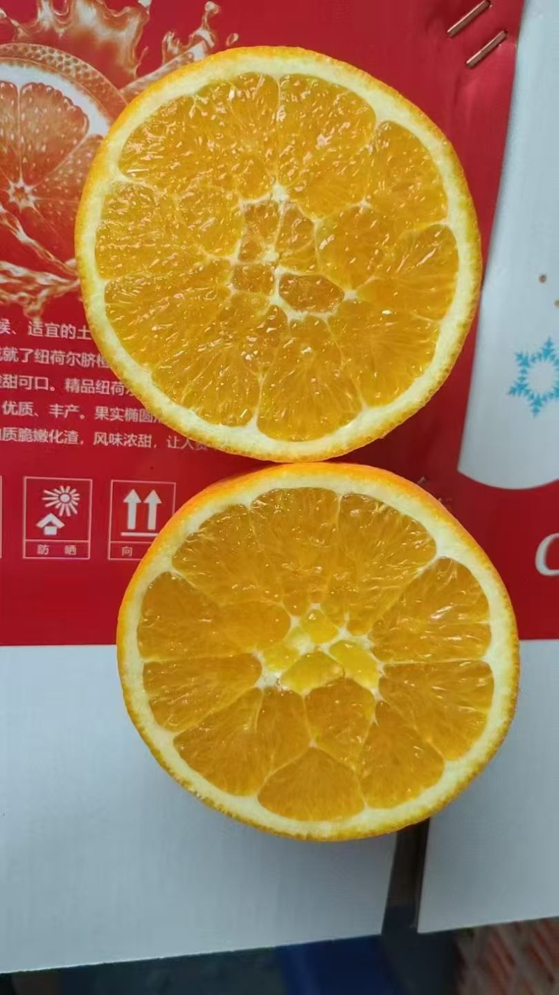 【鲜橙】纽荷尔脐橙主产地直供新鲜采摘落地直发！
