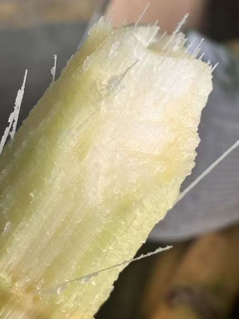 黄金甘蔗。黄皮甘蔗脆口爆汁，浓郁的香甜，回味无穷