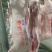 白条猪，中国长寿之乡，广西浦北黑土猪/三元杂，白条猪