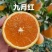 秭归九月红脐橙全国一件代发