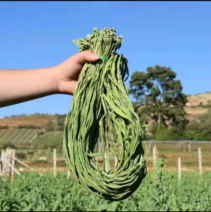 精品优质火锅贡菜干产地直供货源充足欢迎选购