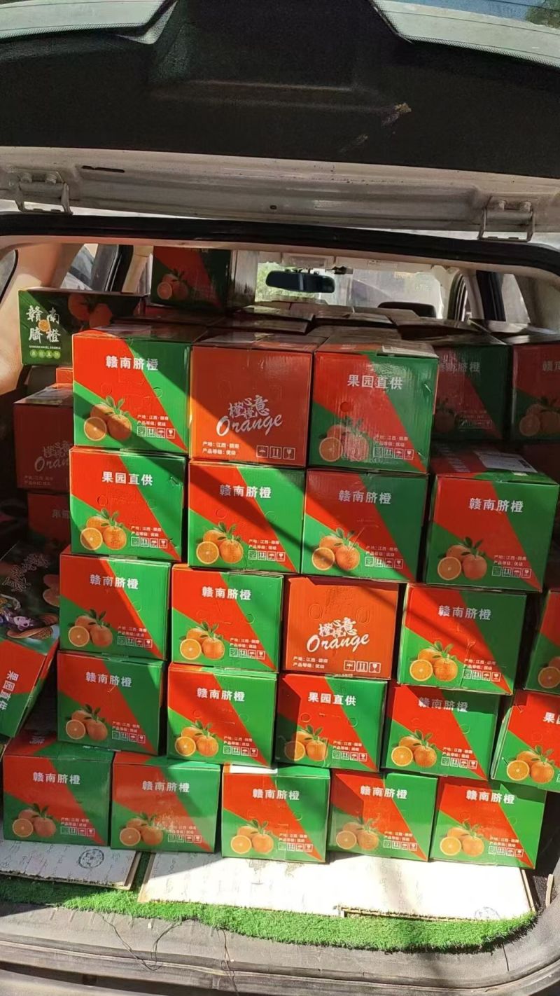 正宗赣南脐橙自家脐橙批发价需要联系