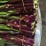 贵州高山露天红菜苔品质保证诚信经营价格美丽