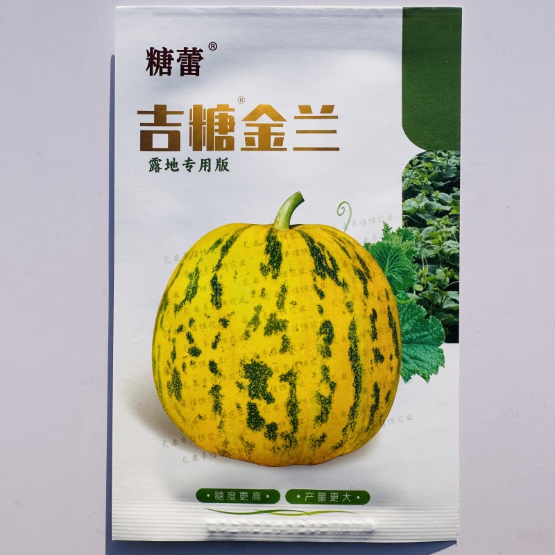 吉糖金兰甜瓜种子绿肉花皮高糖杂交八里香甜瓜种籽糖度高
