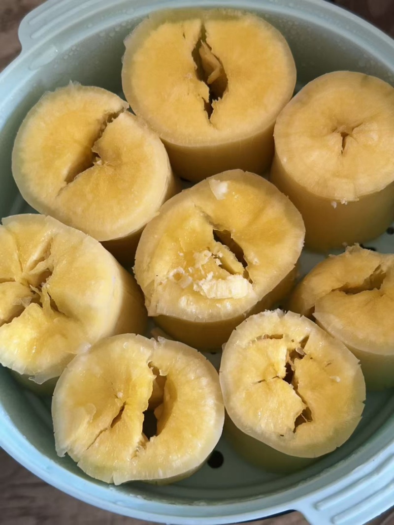 黄心木薯