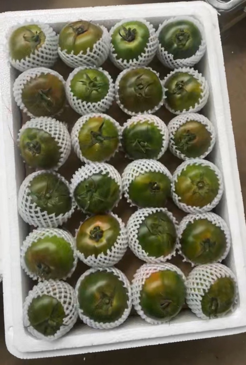 草莓番茄货量充足