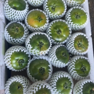 草莓番茄货量充足