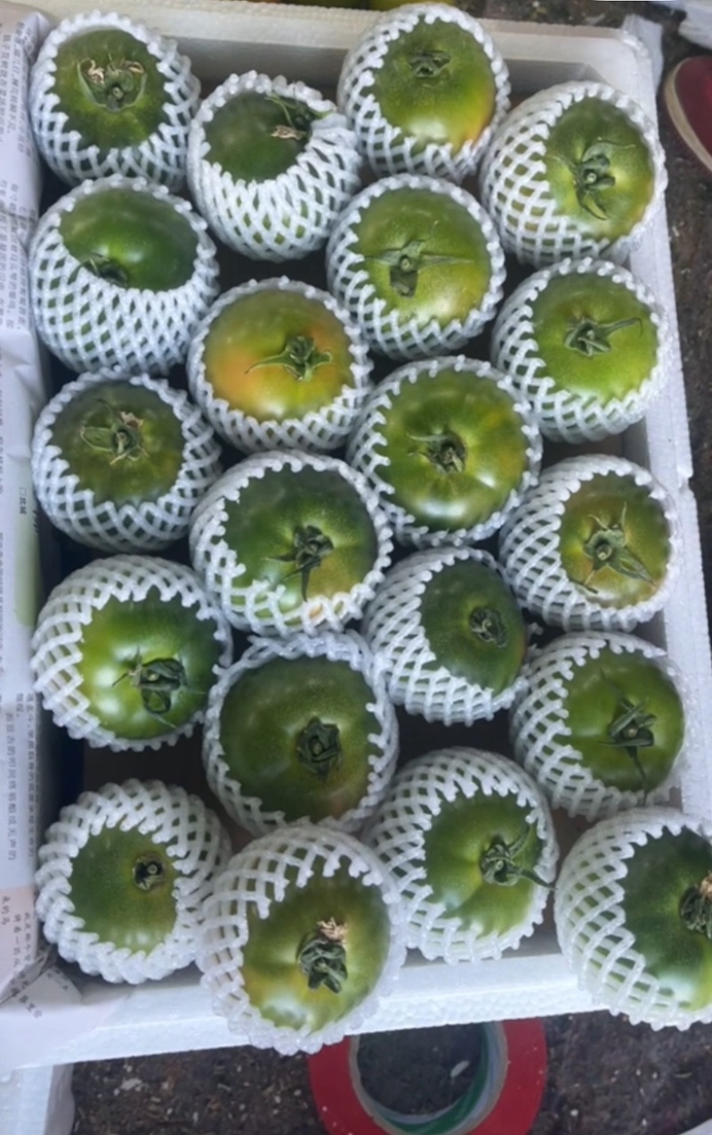 草莓番茄货量充足