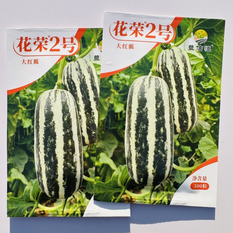 花荣2号甜瓜种子大红瓤绿肉干瓤超甜花皮甜瓜种籽酥脆香甜