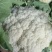 【推荐】青梗白面有机花菜产地直发代发全国包装齐全欢迎来电