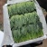 山东滨州精品菠菜
