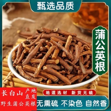 野生蒲公英根茶炒熟婆婆丁根泡茶煮水中药材批发