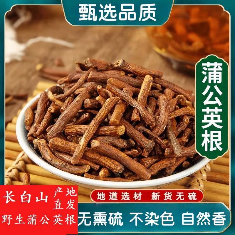 野生蒲公英根茶炒熟婆婆丁根泡茶煮水中药材批发