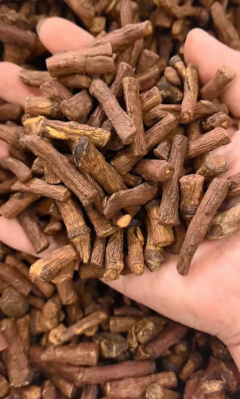 野生蒲公英根茶炒熟婆婆丁根泡茶煮水中药材批发