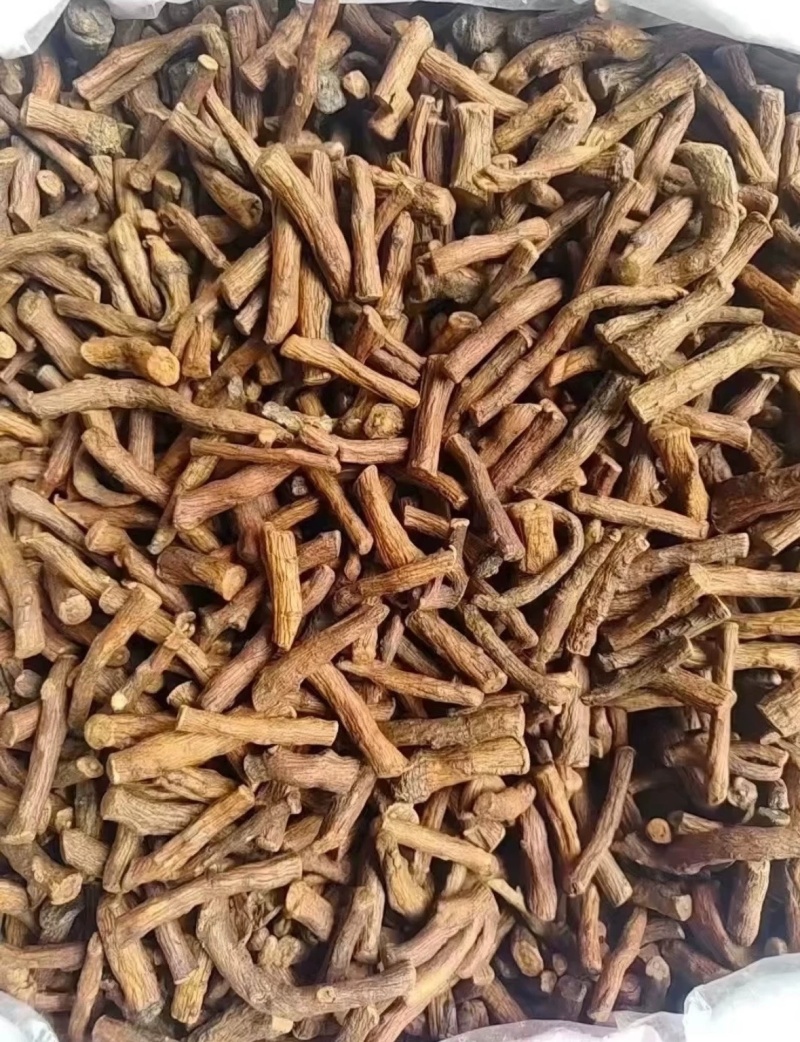 野生蒲公英根茶炒熟婆婆丁根泡茶煮水中药材批发