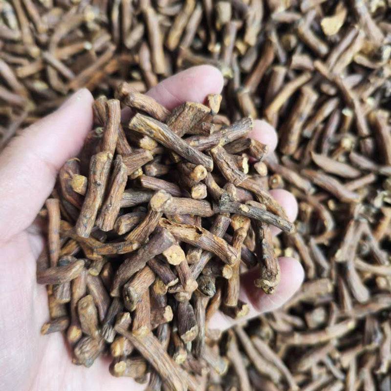 野生蒲公英根茶炒熟婆婆丁根泡茶煮水中药材批发
