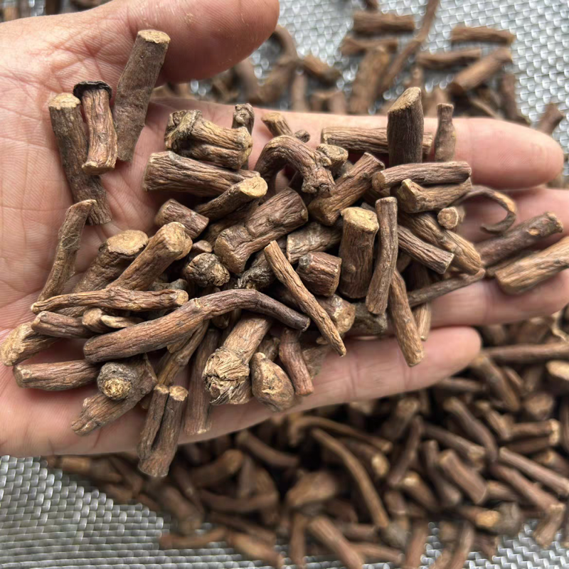 野生蒲公英根茶炒熟婆婆丁根泡茶煮水中药材批发