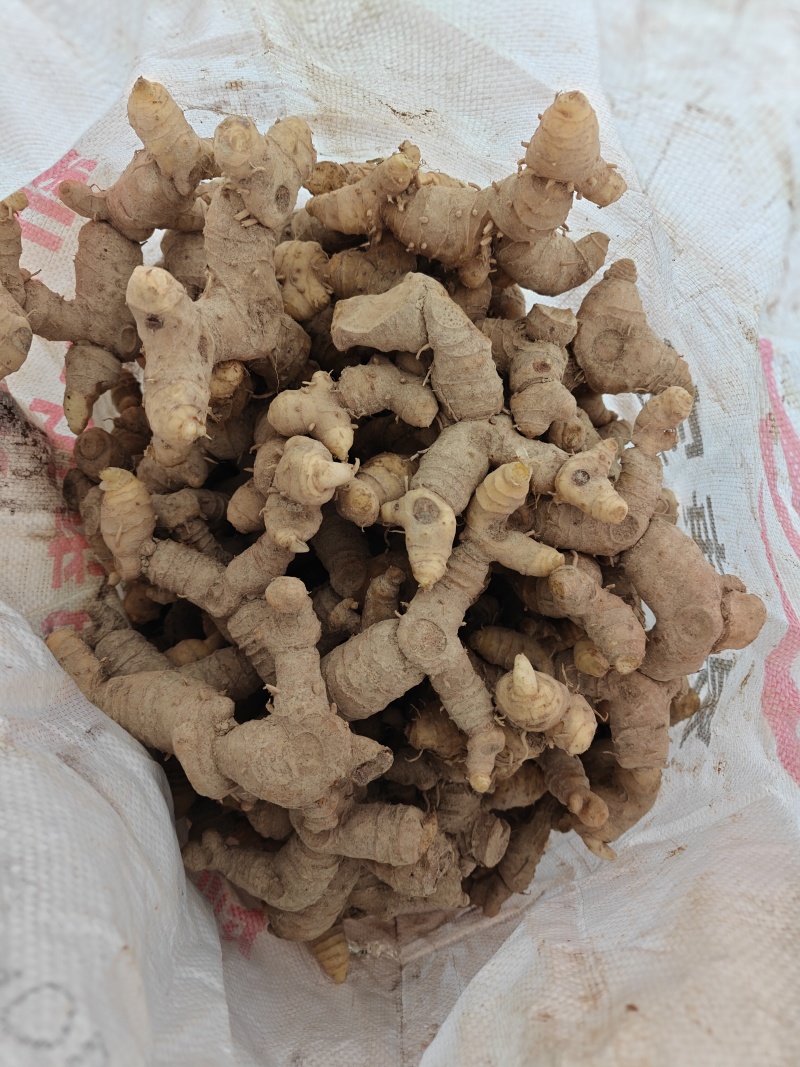 黄精
