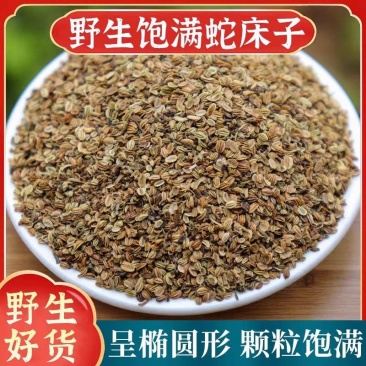 蛇床子新货蛇床子籽中药材批发过风筛无杂质一手货源