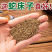 蛇床子新货蛇床子籽中药材批发过风筛无杂质一手货源