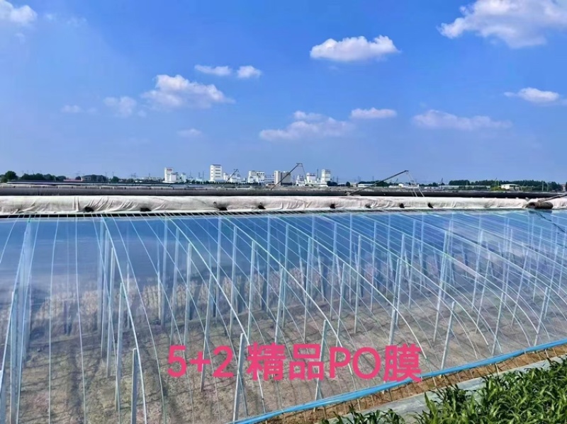 大棚膜5➕2精品PO膜1-22米宽规格齐全可定制