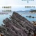 海带中段赶集摆摊跑江湖好海带干货海带片海带长头海带段