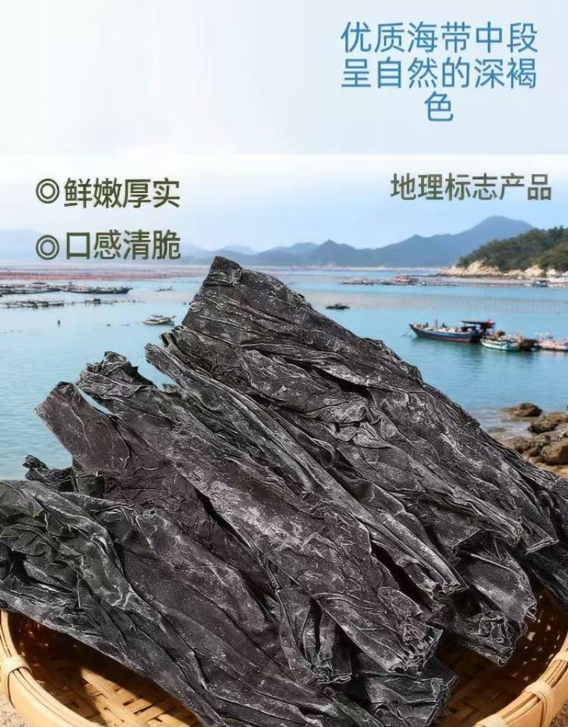 海带中段赶集摆摊跑江湖好海带干货海带片海带长头海带段