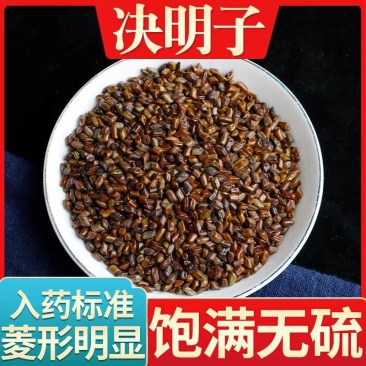 决明子中药材国产、进口决明子干净无杂质一手货源