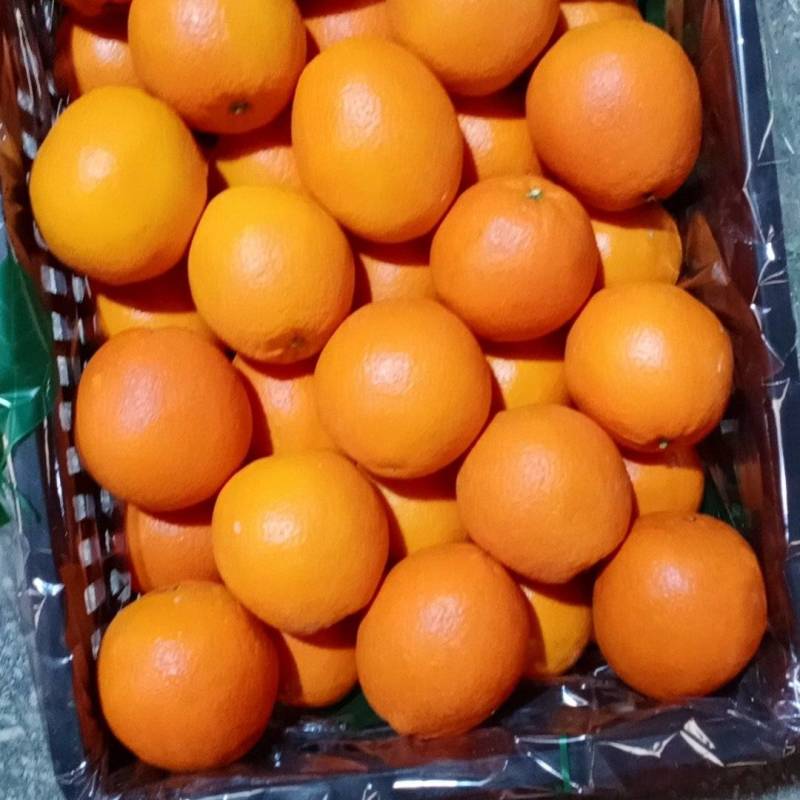 赣南脐橙