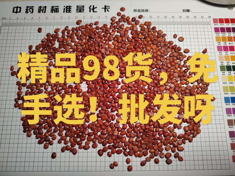 酸枣仁98货国产酸枣仁酸枣仁河北太行野生