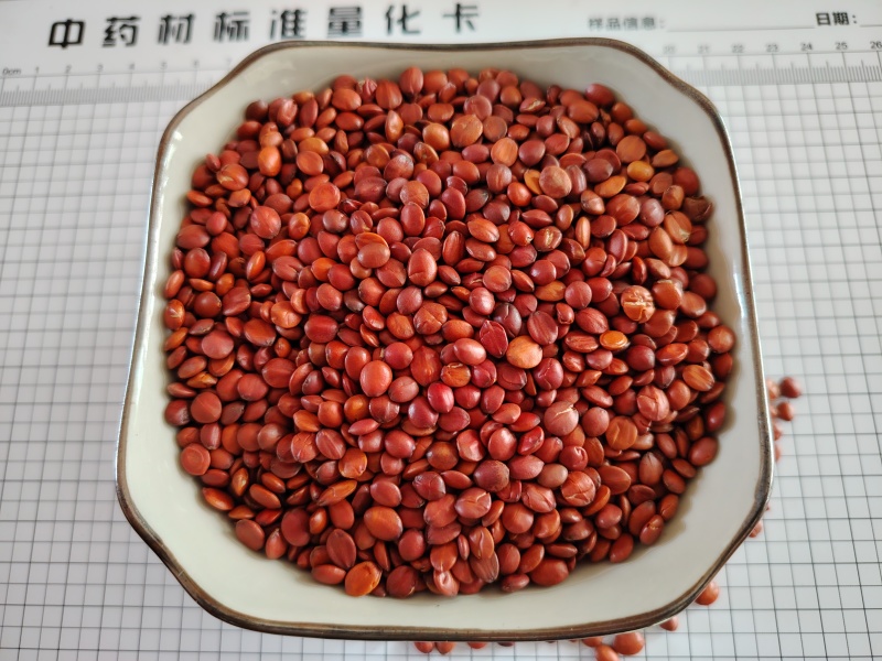 酸枣仁98货酸枣仁国产酸枣仁精选河北太行产地直发