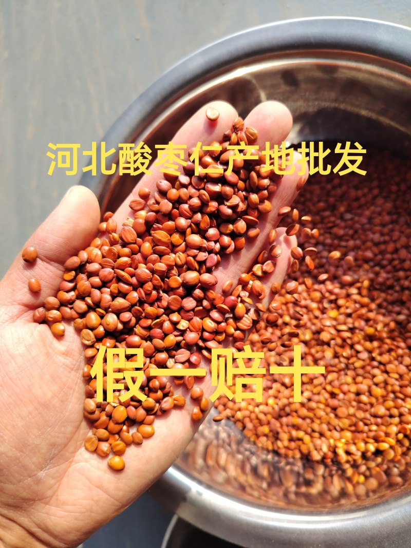 酸枣仁98货酸枣仁国产酸枣仁精选河北太行产地直发