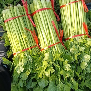 芹菜