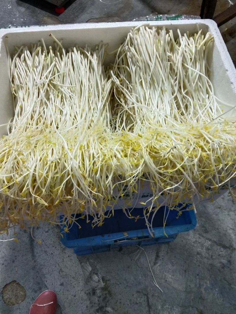 芹芽