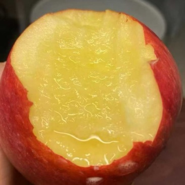 高原糖心红富士