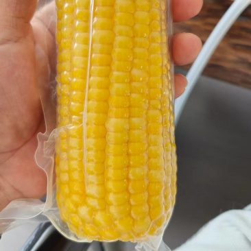 真空玉米个