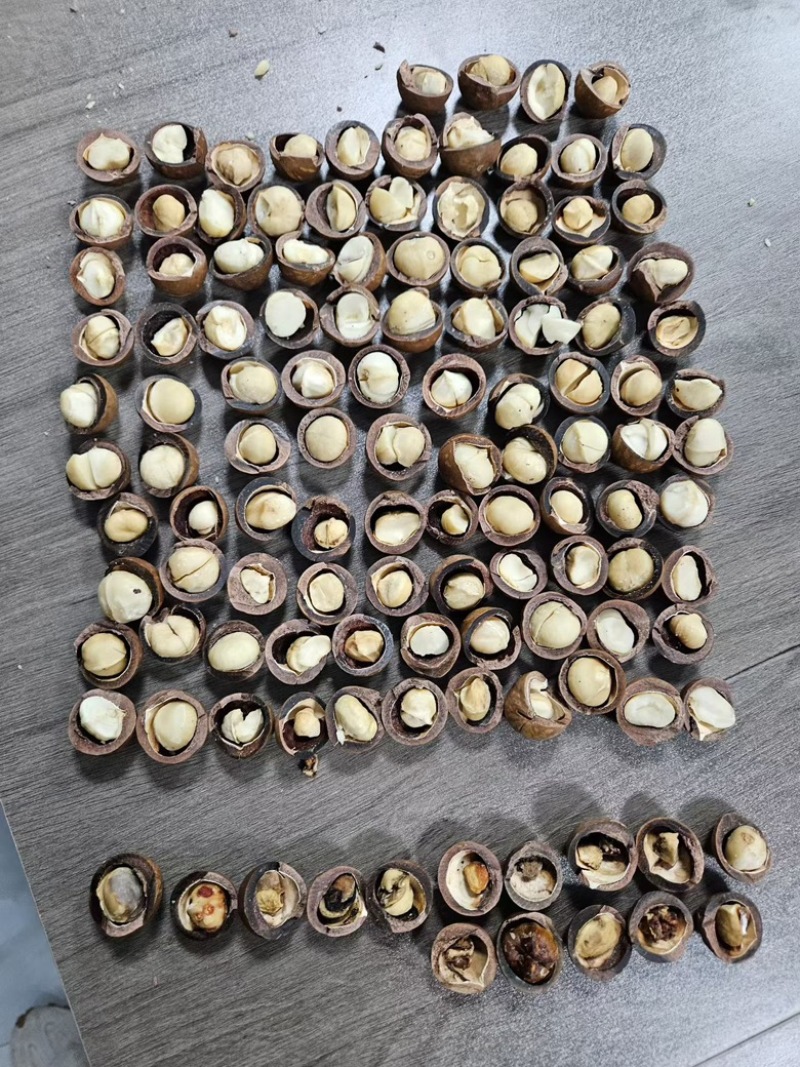 夏威夷果电商货