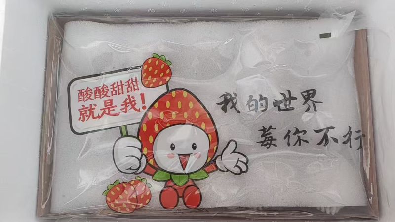 丹东99草莓产地现摘现发一件代发详谈加绿泡泡