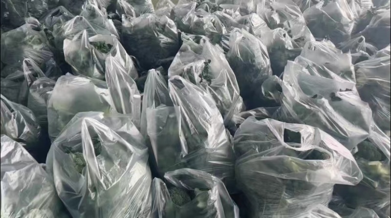 精品西兰花全国持续在供应！需要可以联系！