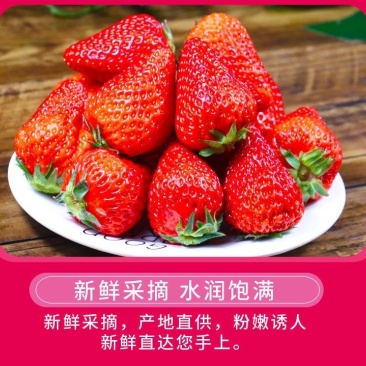 山东香野甜宝草莓新鲜现采现摘商用批发电商