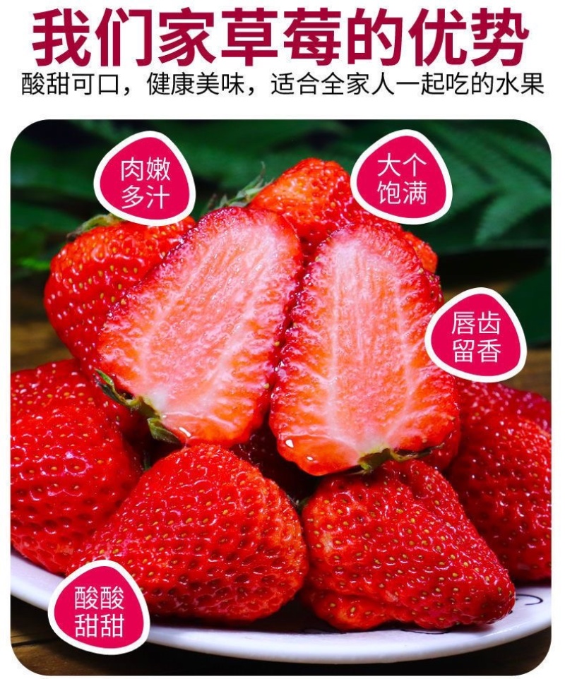 山东香野甜宝草莓新鲜现采现摘商用批发电商