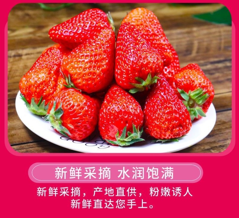 山东香野甜宝草莓新鲜现采现摘商用批发电商