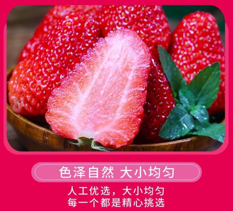 山东香野甜宝草莓新鲜现采现摘商用批发电商