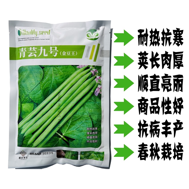 青芸九号小金豆种籽春秋播种架豆种籽高产抗病无筋直杆鲜嫩