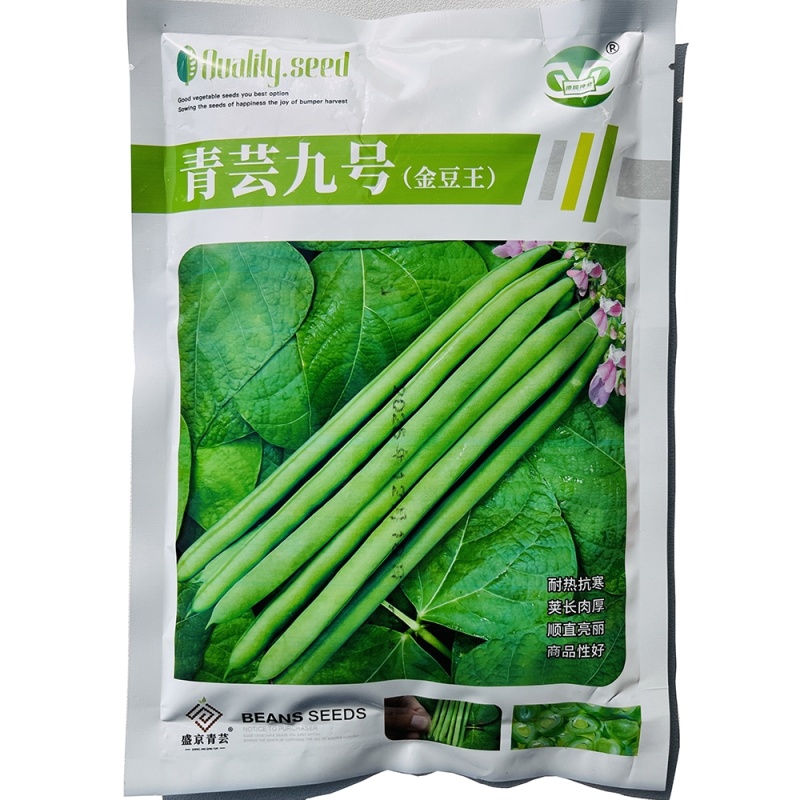 青芸九号小金豆种籽春秋播种架豆种籽高产抗病无筋直杆鲜嫩