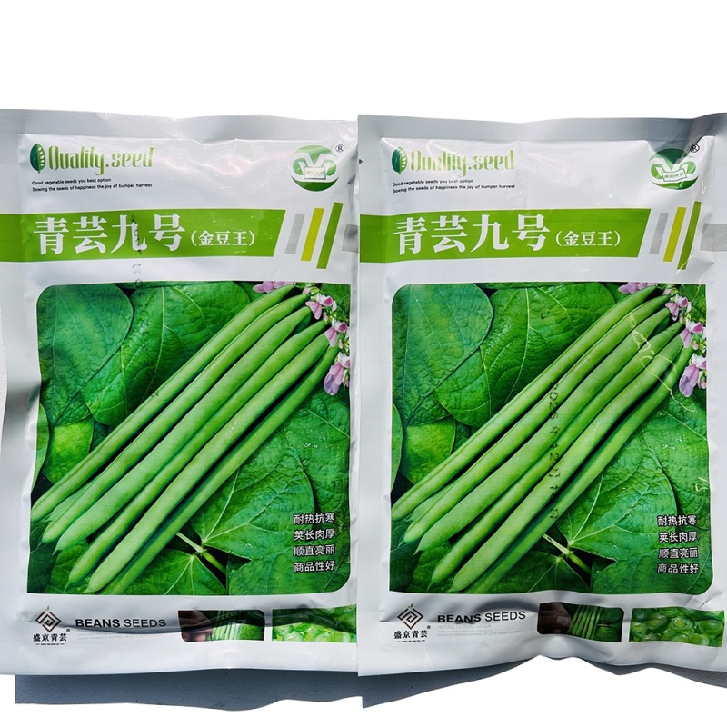 青芸九号小金豆种籽春秋播种架豆种籽高产抗病无筋直杆鲜嫩