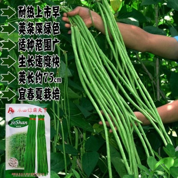 禾山绿霸天下长豇豆种籽早熟特高产春夏种植豆角种籽豆角种籽