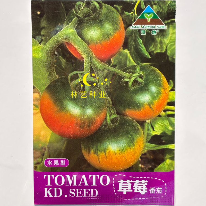 草莓水果番茄种子阳台盆栽四季高产蔬菜北方播种特色超甜早熟
