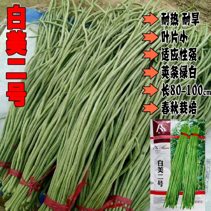 翠豇1号长豇豆种籽结荚多产量高春秋基地大田播种长豆角种籽