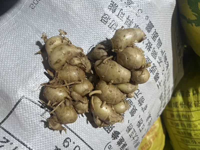 市场精品货，有量欢迎对接